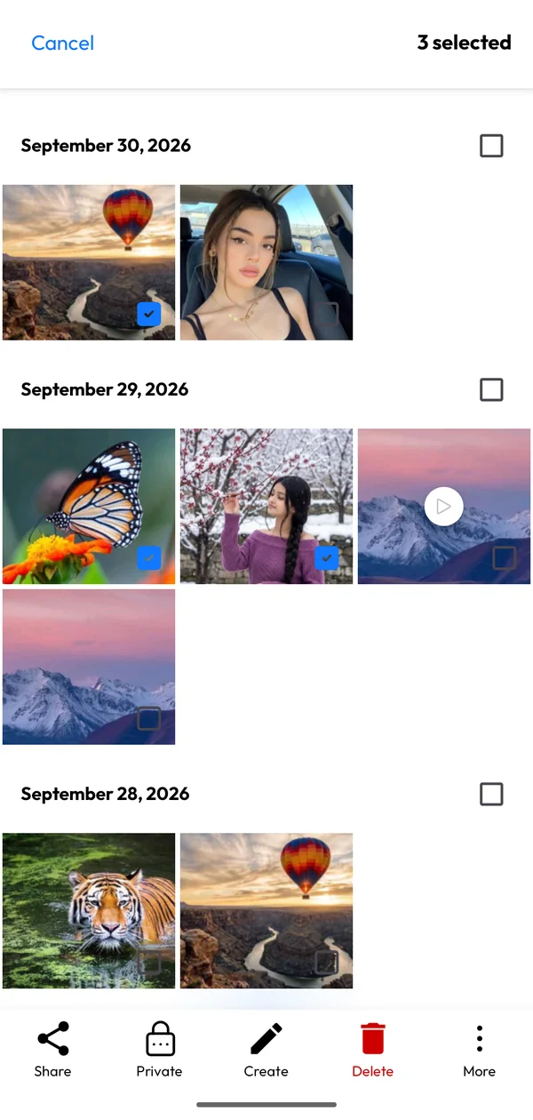 Multi-select mode with Share, Private, Create, Delete and More actions