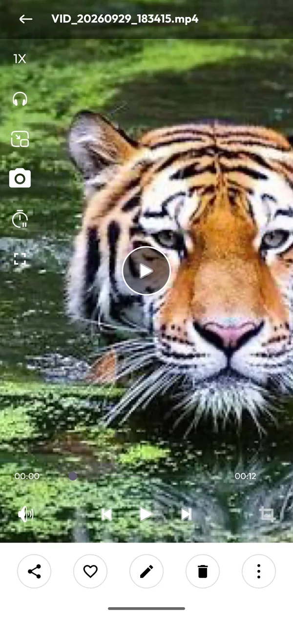 Video player with speed, audio-only, Picture-in-Picture and sleep timer controls